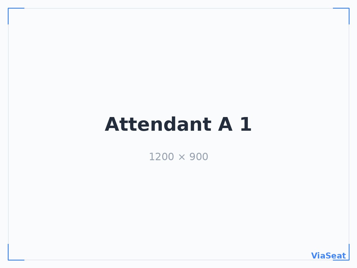 VS-Attendant A100